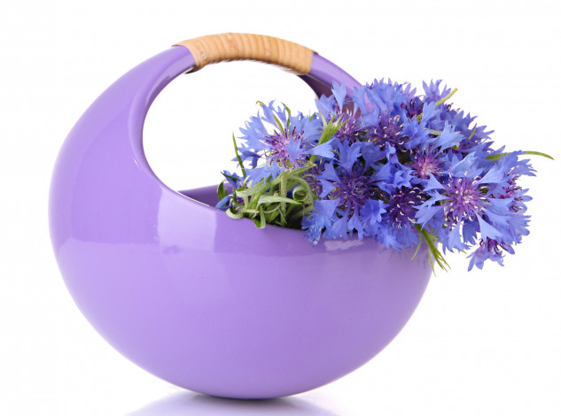 Обои картинки фото цветы, васильки, сиреневый, синий, ваза