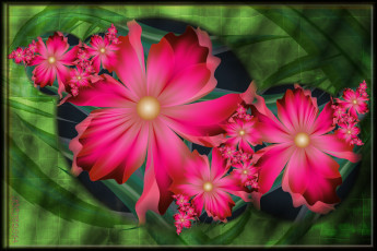 Картинка 3д+графика цветы+ flowers фон цвета узор