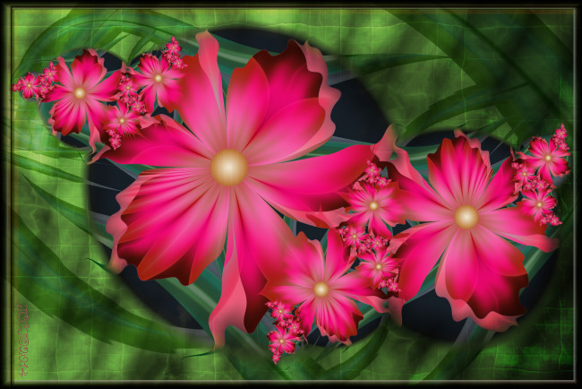 Обои картинки фото 3д графика, цветы , flowers, фон, цвета, узор