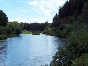 Картинка природа реки озера лес вода деревья