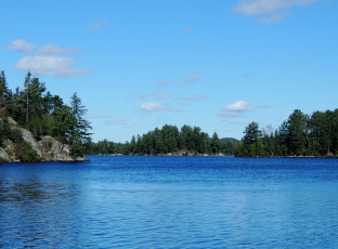 Картинка природа реки озера деревья озеро вода