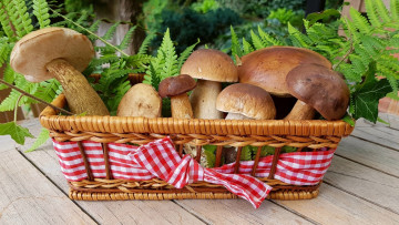 обоя еда, грибы,  грибные блюда, боровики