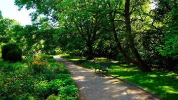 Картинка природа парк аллея скамейка деревья клумбы