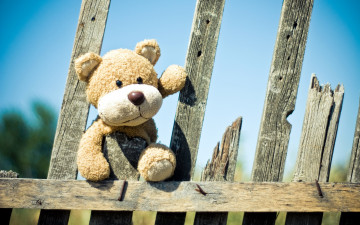 Картинка разное игрушки мягкая забор игрушка медвежонок