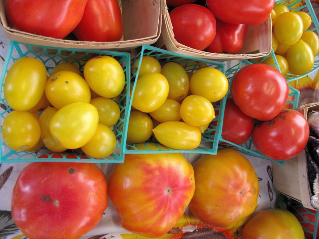 Обои картинки фото еда, помидоры, томаты, ассорти