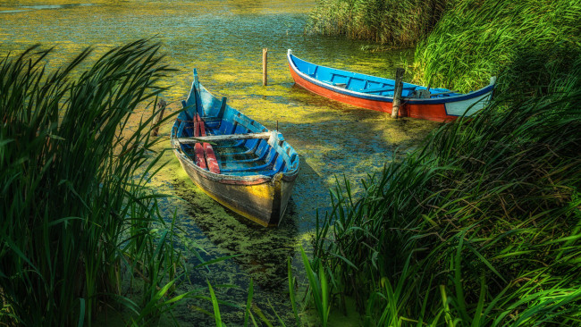 Обои картинки фото корабли, лодки,  шлюпки, пейзаж, деревья, лодка, озеро
