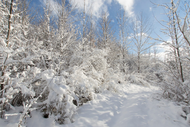 Обои картинки фото природа, зима, простор, снег