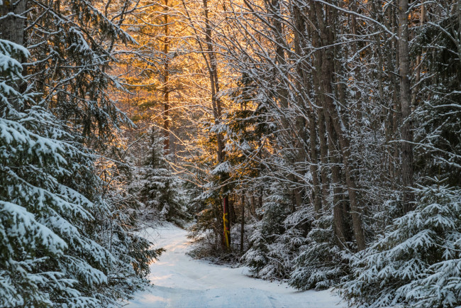 Обои картинки фото природа, зима, простор, снег