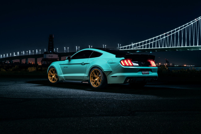 Обои картинки фото автомобили, mustang, ford, muscle, car, night, wheels, rear, bule, rohana