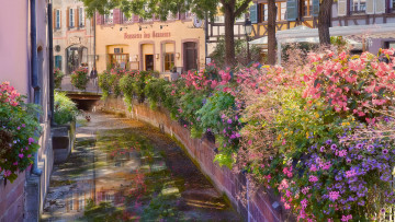 Картинка colmar france города улицы площади набережные цветы