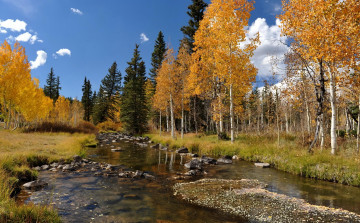 Картинка природа реки озера камни деревья осень река