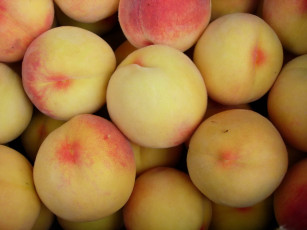 Картинка еда персики сливы абрикосы персик