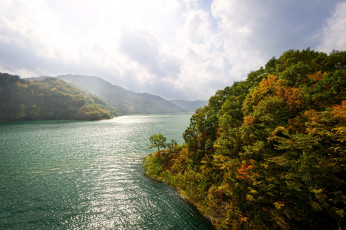 Картинка природа реки озера вода лес