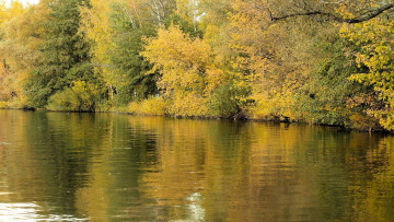 обоя природа, реки, озера, вода, осень, деревья, тишина