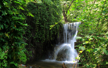 Картинка природа водопады камни ручей зелень