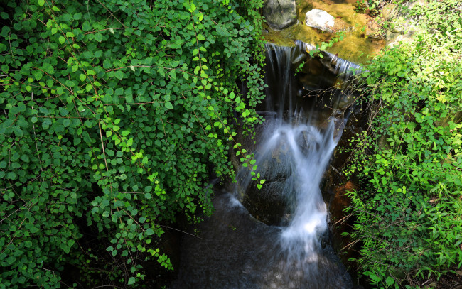 Обои картинки фото природа, водопады, зелень, камни, ручей