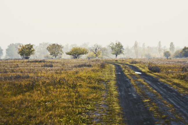 Обои картинки фото природа, дороги, утро, сырость, туман, осень