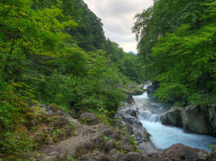 Картинка nikko Япония природа реки озера лес поток река