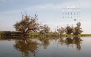 Картинка календари природа осень