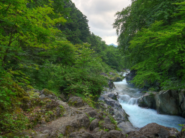 Обои картинки фото nikko, Япония, природа, реки, озера, лес, поток, река