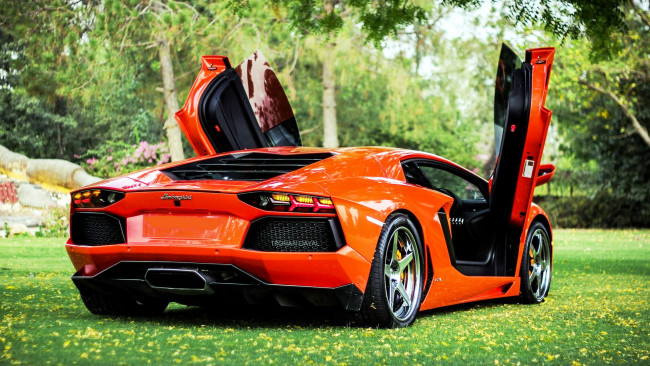 Обои картинки фото lamborghini, aventador, автомобили, спортивные, класс-люкс, италия, automobili, holding, s, p, a