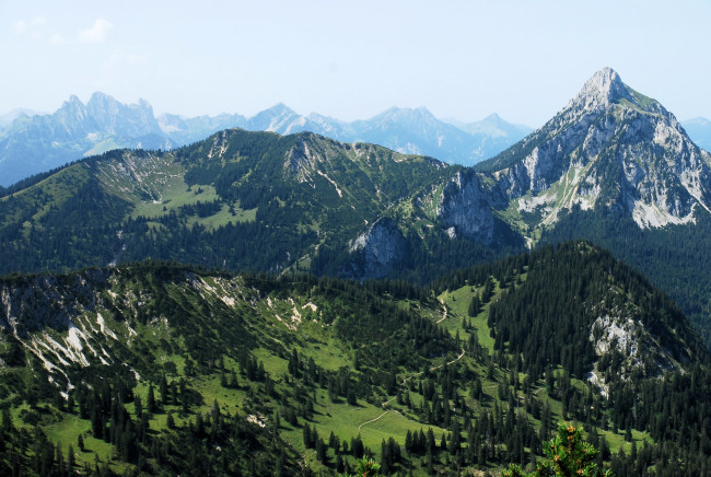 Обои картинки фото бавария, германия, природа, горы, ели