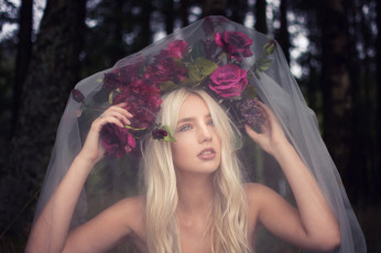 Картинка девушки -unsort+ блондинки вуаль девушка розы