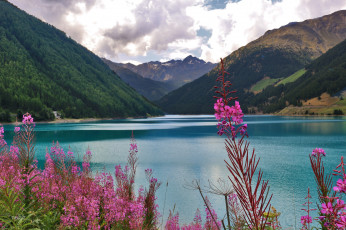 Картинка природа реки озера цветы горы озеро
