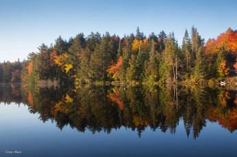 Картинка природа реки озера деревья озеро лес отражение осень