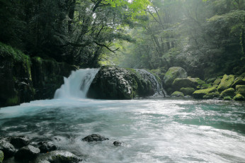 Картинка природа водопады лес река деревья водопад