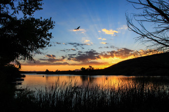 Картинка природа восходы закаты лучи восход утро озеро