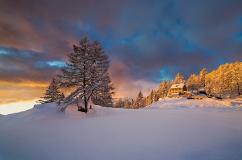 Картинка природа зима снег утро Январь альпы горы пьемонт италия свет