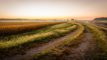 Картинка природа дороги трава поле утро дорога