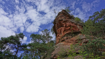 Картинка природа горы деревья скала