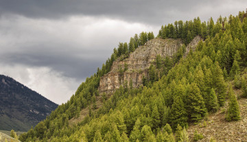 Картинка природа горы скала лес