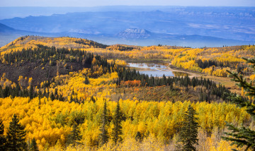 Картинка природа лес озеро горы пейзаж деревья осень