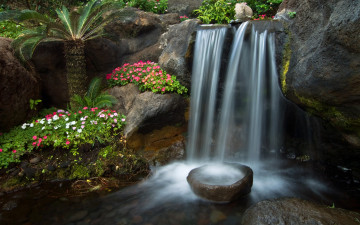 Картинка природа водопады камни каскад водопад ручей сад петунья цветы пальма