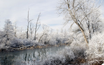 Картинка природа зима иней река снег деревья
