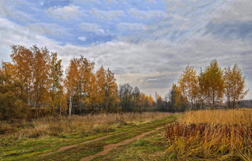 Картинка природа дороги пейзаж осень деревья подмосковье