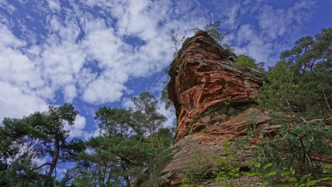 Обои картинки фото природа, горы, деревья, скала