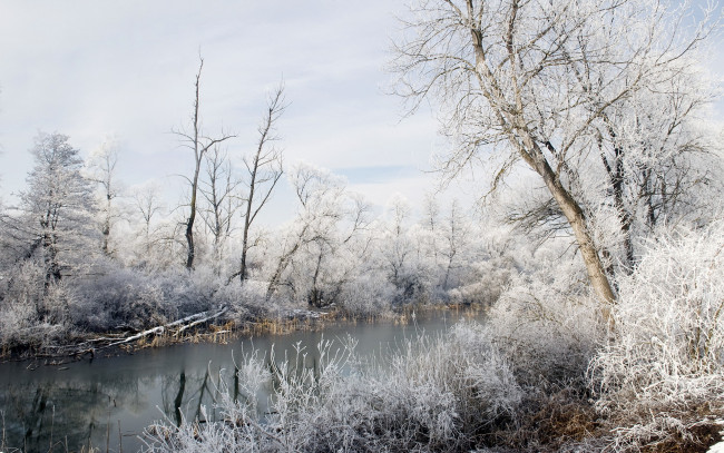 Обои картинки фото природа, зима, иней, река, снег, деревья
