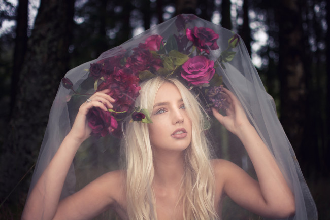 Обои картинки фото девушки, -unsort , блондинки, вуаль, девушка, розы