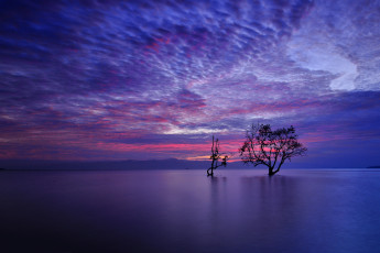 Картинка природа реки озера озеро дерево облака вечер горы зарево небо