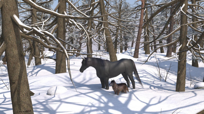 Обои картинки фото 3д графика, животные , animals, лес, собака, лошадь, зима