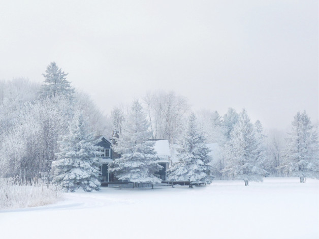 Обои картинки фото города, - здания,  дома, мороз, лес, домик, зима, снег, природа