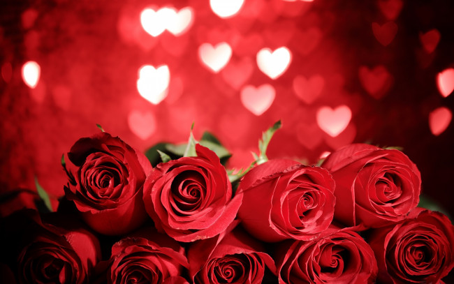 Обои картинки фото цветы, розы, flowers, red, gift, romantic, roses, valentine`s, day, love, heart, красные