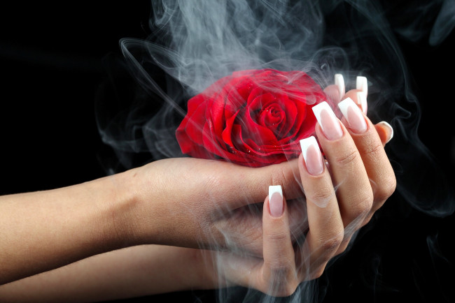 Обои картинки фото разное, руки, дым, роза, маникюр