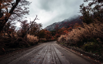 Картинка природа дороги листопад осень дорога