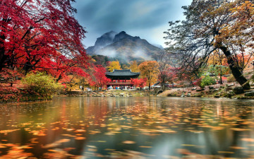 обоя природа, парк, листопад, осень, пагода, водоем, горы