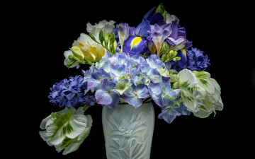 Картинка цветы букеты +композиции фрезия тюльпан ирис гортензия
